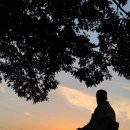 다함께어울림합창 이미지