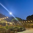 누리다 애견펜션 이미지