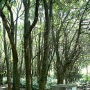 청수목장 이미지