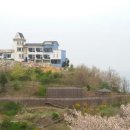 언덕위의 집 티스토리