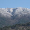 지리산농원 Daum카페
