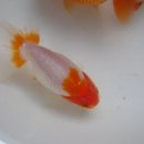 용모농장 이미지