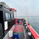 은바다 | 인천배낚시 우럭 바다낚시 도전해본 후기 : 덕적호 (+준비물)