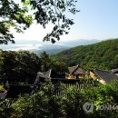 일원본-109 이미지