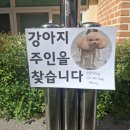 선암어린이집 네이버블로그
