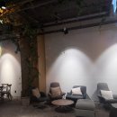 N168 | [학동역 카페] 카공·모임·작업하기 좋은 신사동 카페 그라브 후기 ☕✨