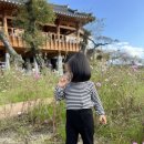 불국사초등학교 | 11월 경주 여행