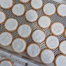 [서부] 홈베이킹(2025) | 홈베이킹기록 2025수능쿠키 수능응원쿠키 수능아이싱쿠키