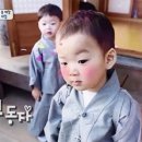 슈퍼맨장어 이미지