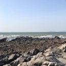 플랜B트레블 이미지