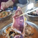 도안로 이미지
