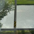 금소생태공원2 이미지