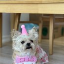 베일리펜션 네이버블로그