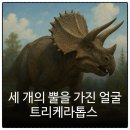 트리케라톱스-3 | 백악기 트리케라톱스 공룡 멸종 직전까지 존재했던 최후의 공룡