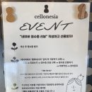 첼로 | 전북 군산 카페 첼로네시아 유자에이드 핫초코라떼 후기