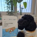 네오덴탈 | 강아지 덴탈껌 내돈내산 추천 바이레프 허니콤츄 황태 후기