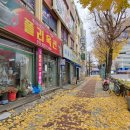 계림골동품