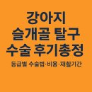 서울대학교 수의과대학 동물병원 | 강아지 슬개골 탈구 수술 후기 총정리 – 비용·등급별 수술법·재활기간