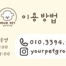 유어펫그루밍 이미지