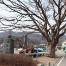 유성구세동보건진료소 | 계룡산 청정지역에 향긋한 봄이 왔어요~: <세동농촌체험마을의 미나리체험>.