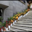 명가목장 이미지