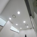 강남동물병원 이미지