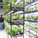 송명희 농장 이미지