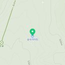 옥룡숲속의아침 이미지