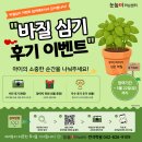 반석학원 '바질 심기 ' 후기 EVENT