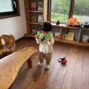 다정다감펜션 이미지