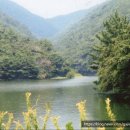 송정국도쉼터 이미지