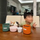 탄용환경 주식회사 | 26.04 | 봄과 여름 사이, 에버랜드, 레고랜드, 베고니아 (새로운 환경에 적응하는 일상)