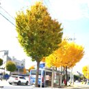 풍경스케치(주간) 이미지