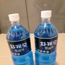 우리안전 | [차케오워셔액] 후기 | 우리가족 안전 운전을 위한 에탄올워셔액, 현명하게 고르는 법