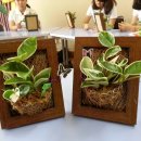 충렬중학교 이미지