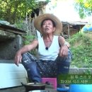 자연인 Daum카페
