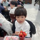 바른 태권도장 이미지