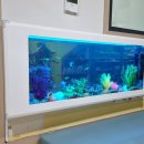 방배서리풀어린이집 이미지