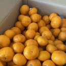 함초롬농원 이미지