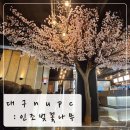 nuPC | 인조벚꽃나무 조화나무인테리어 대구nupc : 나무의품격