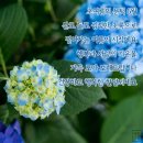 행복가득 이미지