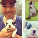 행복한 강아지 | 행복한 동반자를 찾아서: 서울 강아지 입양 후기