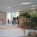 조선 부산 호텔] 디럭스 오션 패밀리 트윈 숙박 후기 : 해운대 호캉스, 최고의 오션뷰 5성급 호텔 추천...