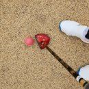 뉴월드파크장 이미지