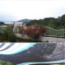 바닷가예쁜집 이미지