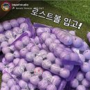 비티골프스튜디오 이미지