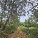 하동 옥산614m 옥산서원.청수정류장.전망대.옥산.천황봉.백토재.청수마을9.5km 4시간(자가) 이미지