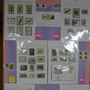 독정초등학교 이미지