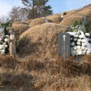 스무 살 어머니(정채봉 프란치스코) 이미지