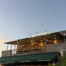 보통상회 | 카페 칠곡상회 다녀온 후기